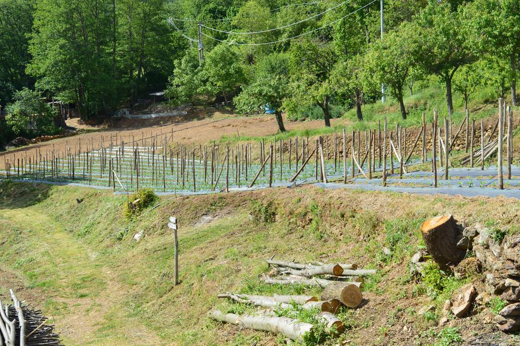 Agriturismo E Turre Serrastretta ภายนอก รูปภาพ