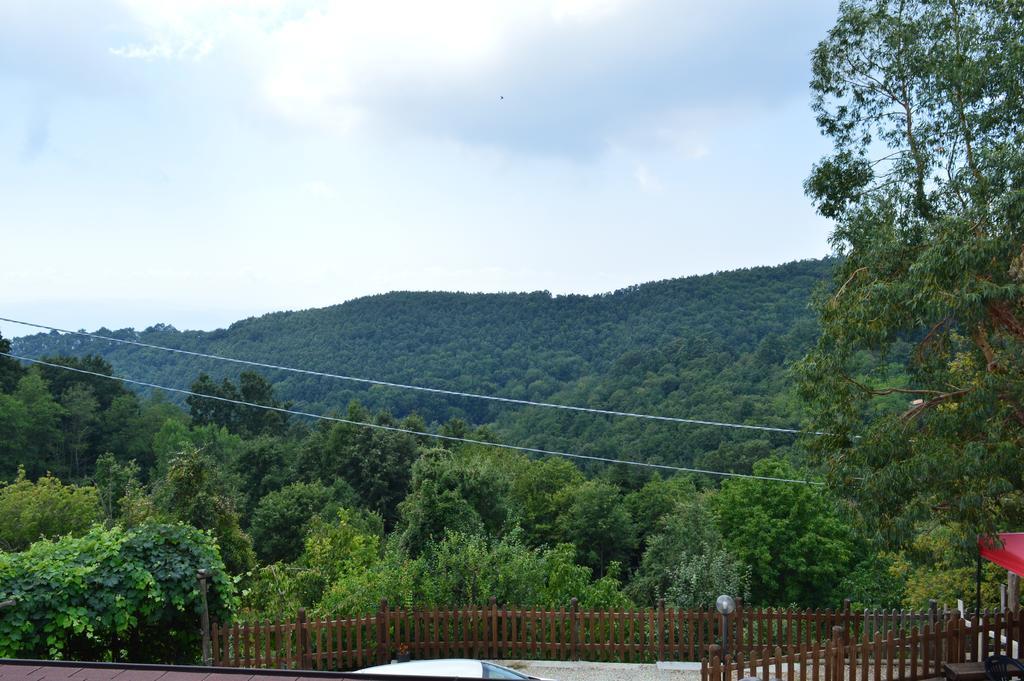 Agriturismo E Turre Serrastretta ภายนอก รูปภาพ