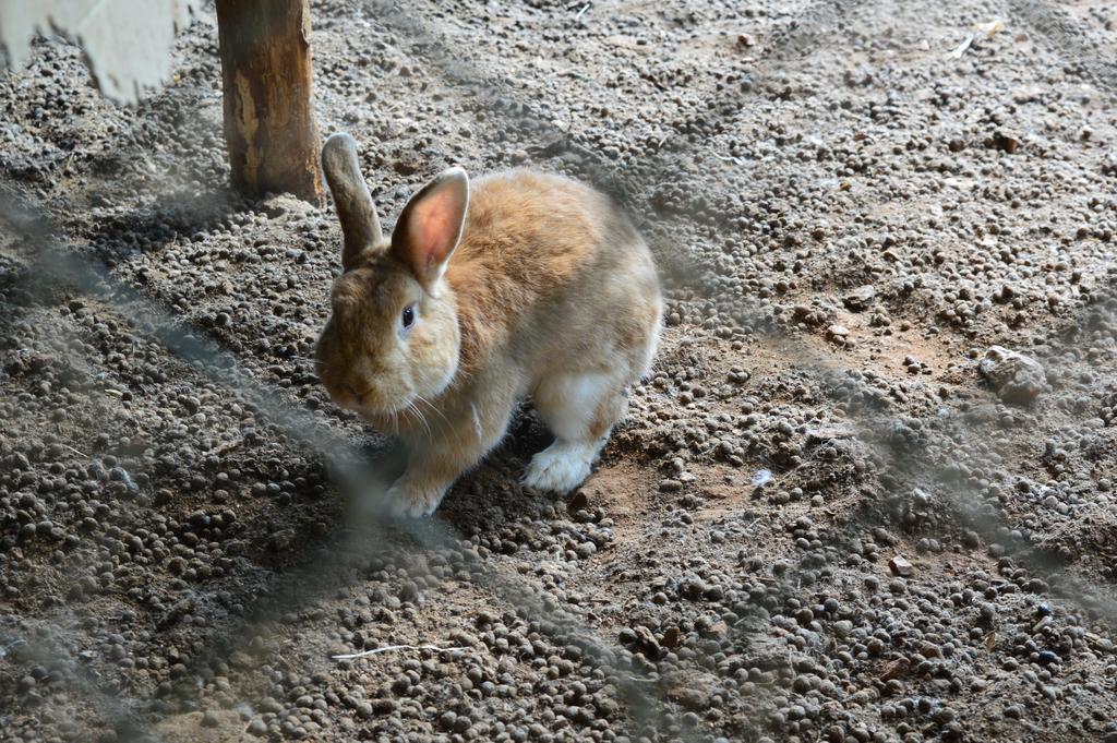 Agriturismo E Turre Serrastretta ภายนอก รูปภาพ